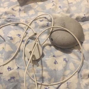 Google home mini
